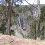 Wollomombi Gorge