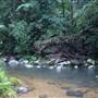 Terania Creek picnic area & Protesters Falls walking track