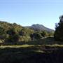 Tweed - McKenzie Property