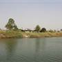 Tweed River - Murwillumbah