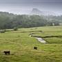 Tweed Valley 1 of 2