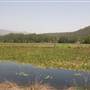 Clarrie Hall Dam