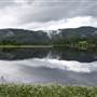 Tweed Valley 1 of 2