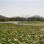 Clarrie Hall Dam