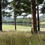 Tweed Valley 1 of 2