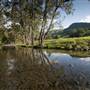 Tweed Valley 1 of 2