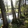Tweed Valley 1 of 2