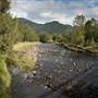 Tweed Valley 1 of 2