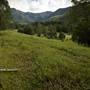 Tweed Valley 1 of 2