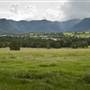 Tweed Valley 1 of 2