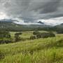 Tweed Valley 1 of 2