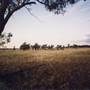 Parkes