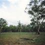 Parkes