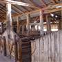 The Springs Homestead - Dubbo