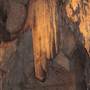 Wellington Caves Complex