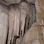 Wellington Caves Complex