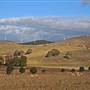 Blayney Wind Farm