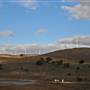 Blayney Wind Farm