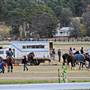 Wellington Showground