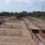 West Wyalong & District Saleyards