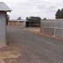 West Wyalong Racetrack and Showgrounds