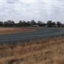 West Wyalong Racetrack and Showgrounds
