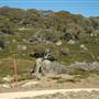 Perisher