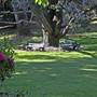 Robertson - Southern Highlands