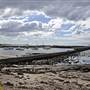 Shellharbour 1