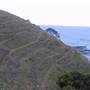 South Kiama