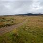 Snowy Mountains - Semi-Dry Steppes