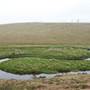 Snowy Mountains - Semi-Dry Steppes