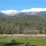 Snowy Mountains - Semi-Dry Steppes