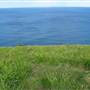 Stanwell Park - Stanwell Tops