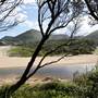 Stanwell Park - Stanwell Tops