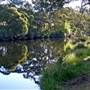 Thredbo River