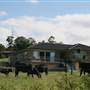 Tullimbar Village