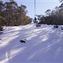 Thredbo