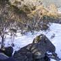 Thredbo