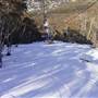 Thredbo