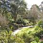 Wollongong Botanic Garden