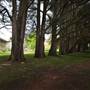 Parklands Country Garden & Lodges