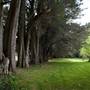 Parklands Country Garden & Lodges