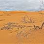 Perry Sandhills