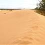 Perry Sandhills