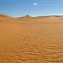Perry Sandhills