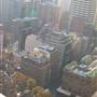 Sydney CBD - George Street