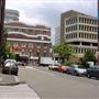 Surry Hills