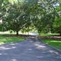The Domain
