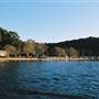 Currawong Beach Cottages & Basin Campground -  Ku-ring-gai Chase National Park
